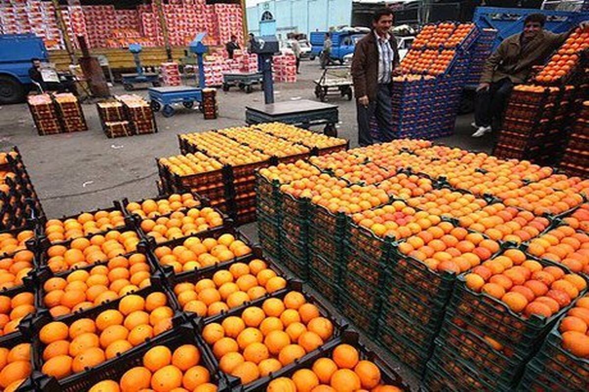 توزیع میوه شب عید در گیلان