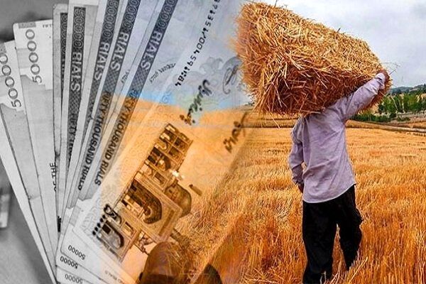 خرید تضمینی گندم از مرز ۷ میلیون تن گذشت