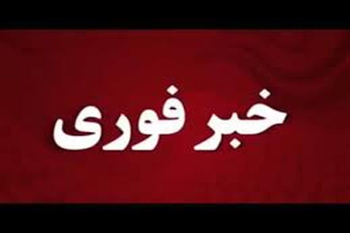 خبر فوری