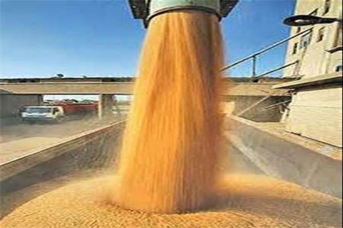 سیلوی ذخیره‌سازی گندم در کرمانشاه