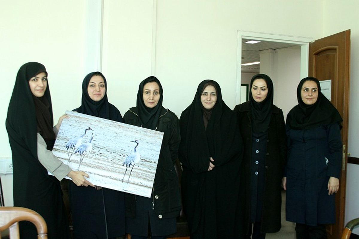 محیط زیست