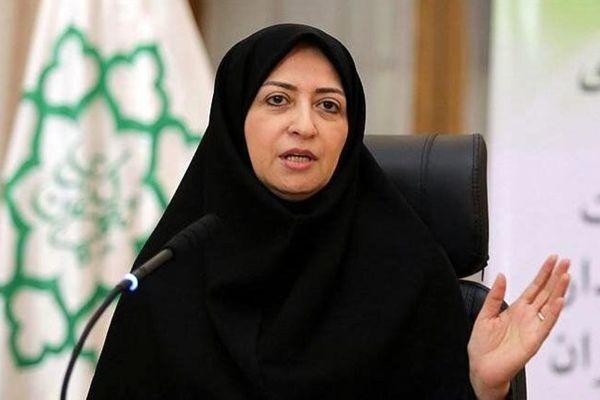 اصلاح قانون حمل سلاح به صحن مجلس در آینده نزدیک ارائه می‌شود