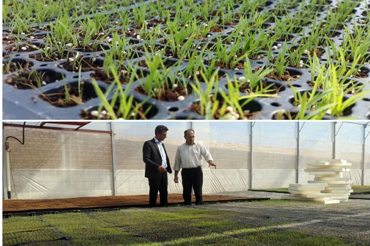 IMG_20230308_211217_281