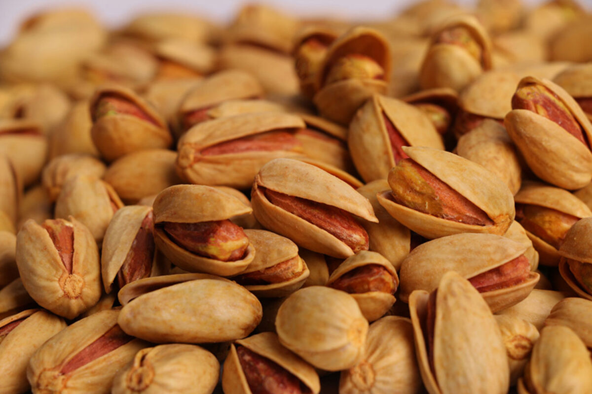تولید پسته خراسان رضوی