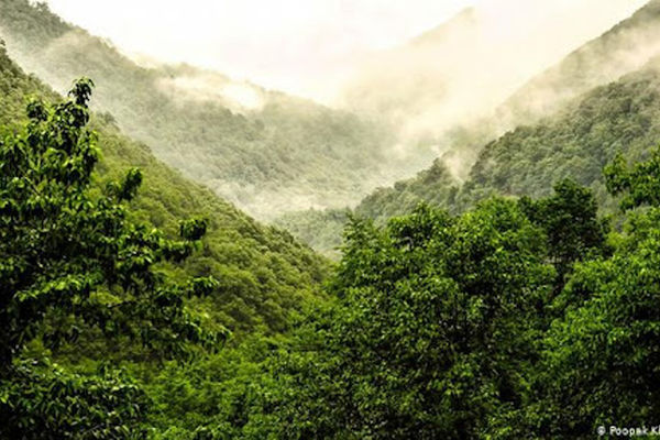 تدوین سند طرح جنگلداری اجتماعی در حوزه زاگرس  