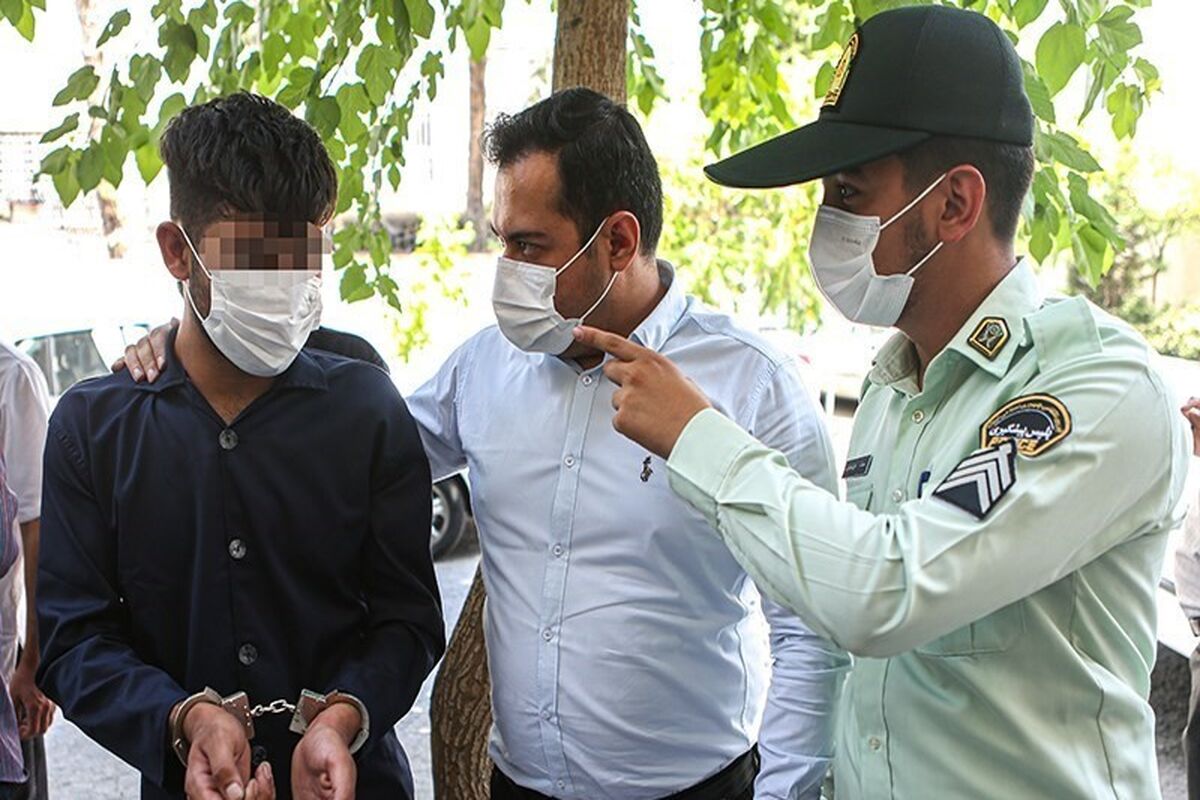 دستگیری+سارق