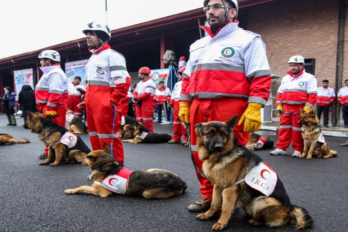 طرح تابستانه