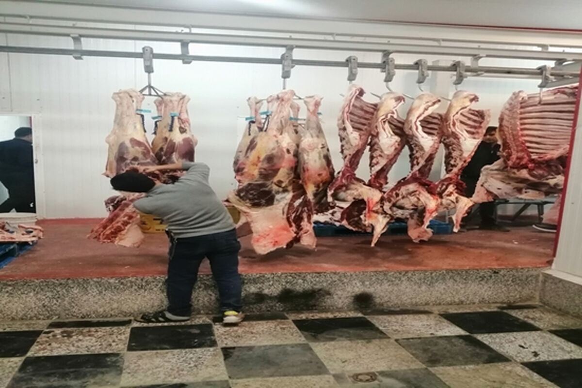 لاشه گوسفند غیر بهداشتی