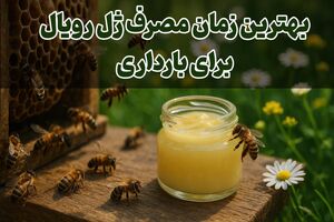 بهترین زمان مصرف ژل رویال برای بارداری چه موقع است؟