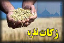 اعلام آمادگی کمیته امداد برای جمع‌آوری وجوه زکات فطریه