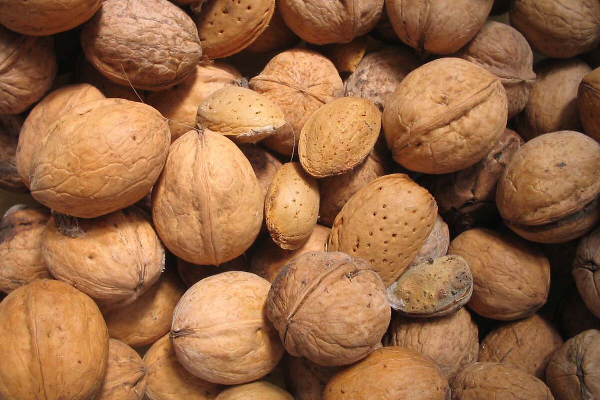 بادام و گردو