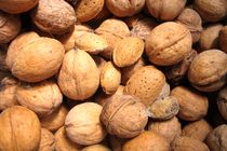 فارس با تولید سالانه ۲۷ هزارتن بادام، حائز رتبه دوم کشوری در این محصول است