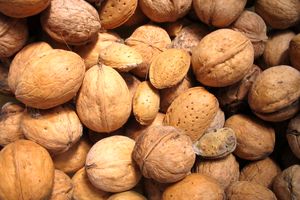 فارس با تولید سالانه ۲۷ هزارتن بادام، حائز رتبه دوم کشوری در این محصول است