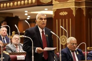 رئیس مجلس سنای مصر به رهبر شهید انقلاب ادای احترام کرد