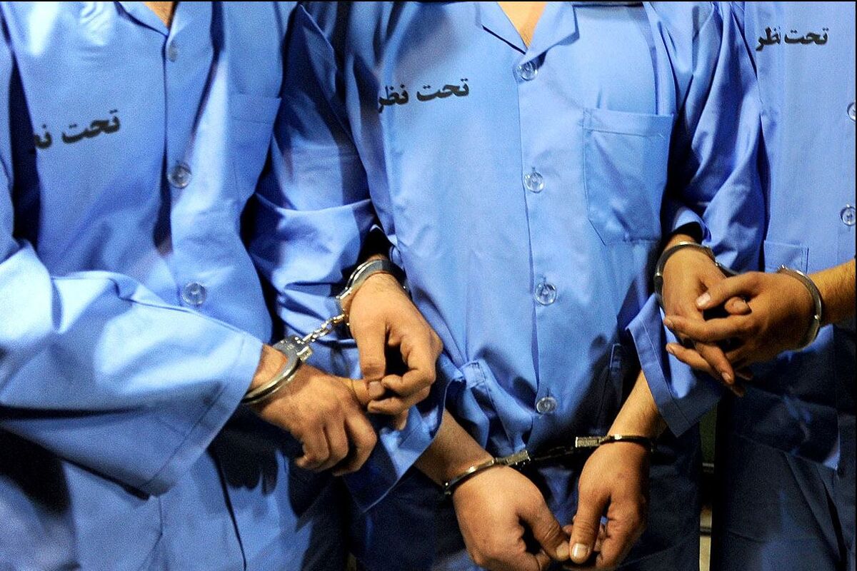 دستگیری سارق