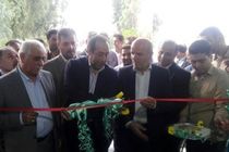  بیش از 5 هزار میلیارد تومان در بخش گل و گیاه سرمایه‌گذاری شده است