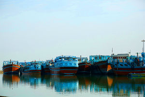 شهرستان سیریک فرصتی ویژه برای جذب سرمایه گذاران