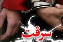 افزایش 37 درصدی کشف سرقت در ملایر