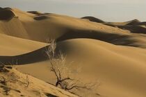 عامل اصلی پدیده گرد و غبار در خراسان رضوی خشکسالی است