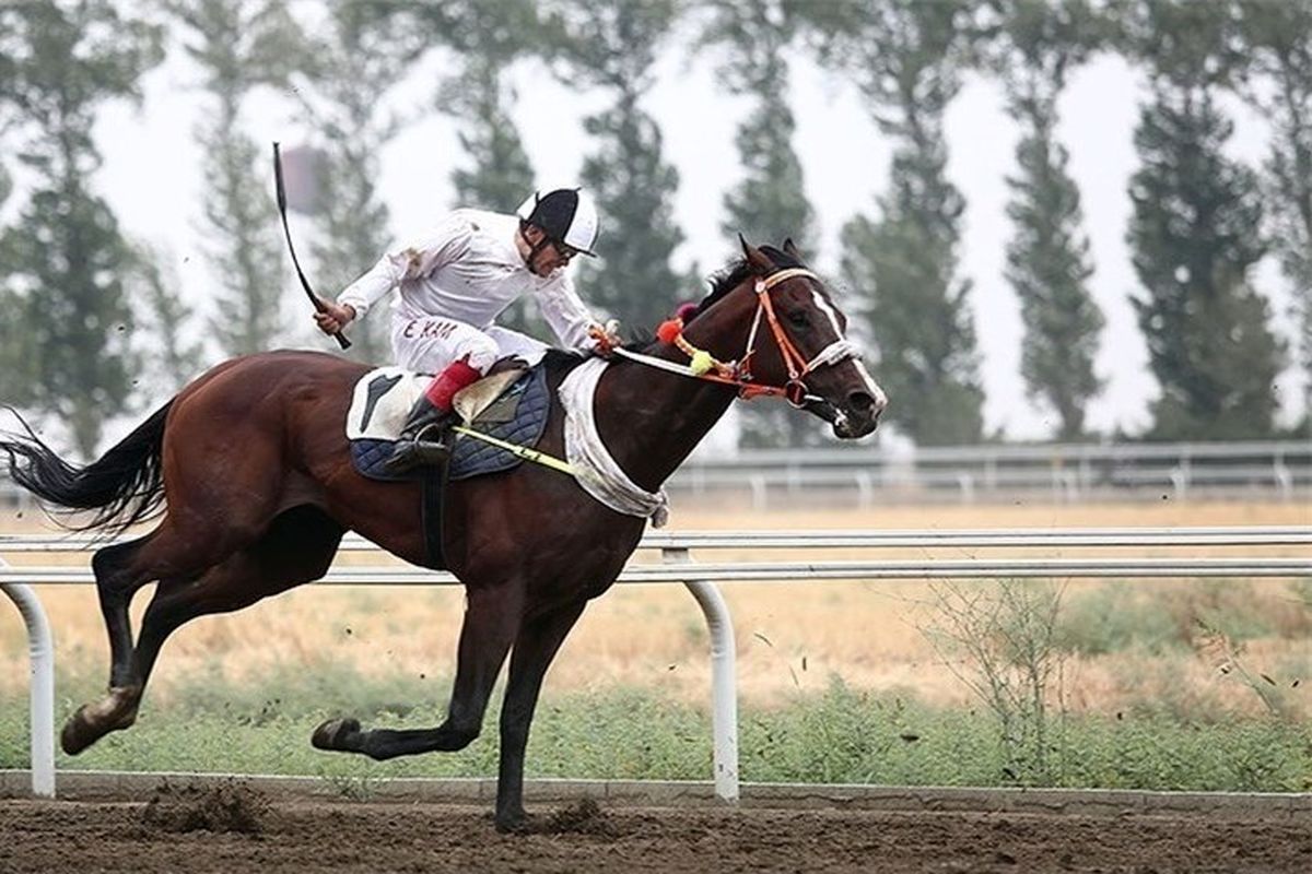 مسابقات اسبدوانی کورس پائیزه در گنبدکاووس 