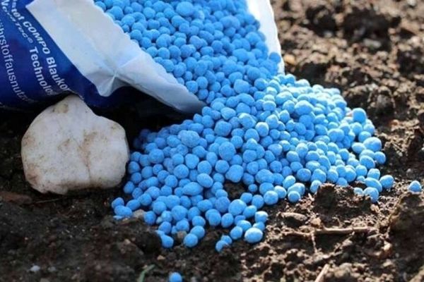 کود یارانه‌ای با حواله الکترونیکی به کشاورزان تحویل می‌شود