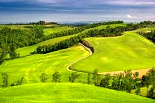 خرید و فروش اراضی جنگلی و ملی ممنوع است/ برخورد قضایی با تبلیغات سودجویان در فضای مجازی