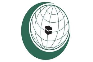 سازمان همکاری اسلامی از قطعنامه ضدصهیونیستی سازمان ملل استقبال کرد