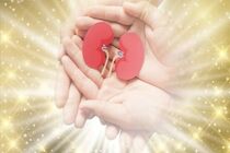 اهدای عضو یک بیمار مرگ مغزی در شهرکرد 