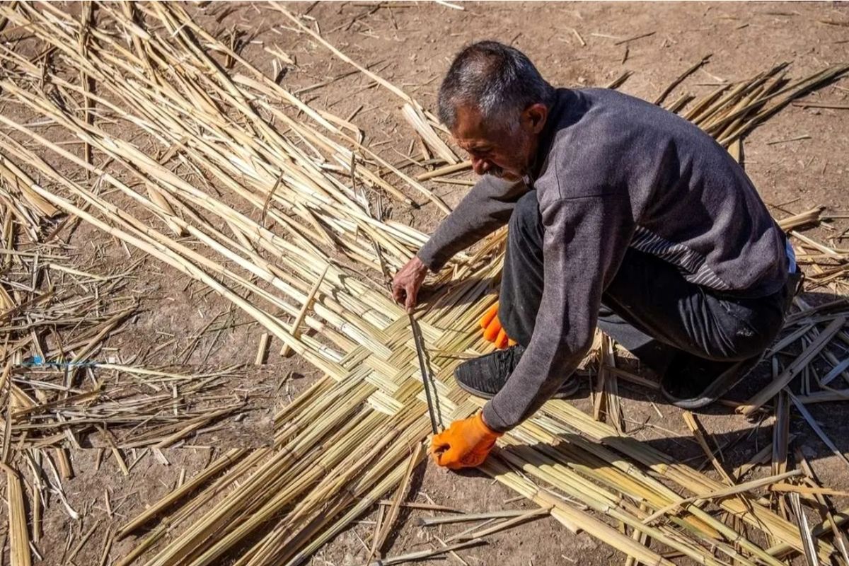 میراث فرهنگی فارس