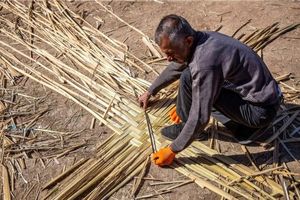 پرداخت ۴ میلیارد تومان تسهیلات به هنرمندان بوریاباف زرقان