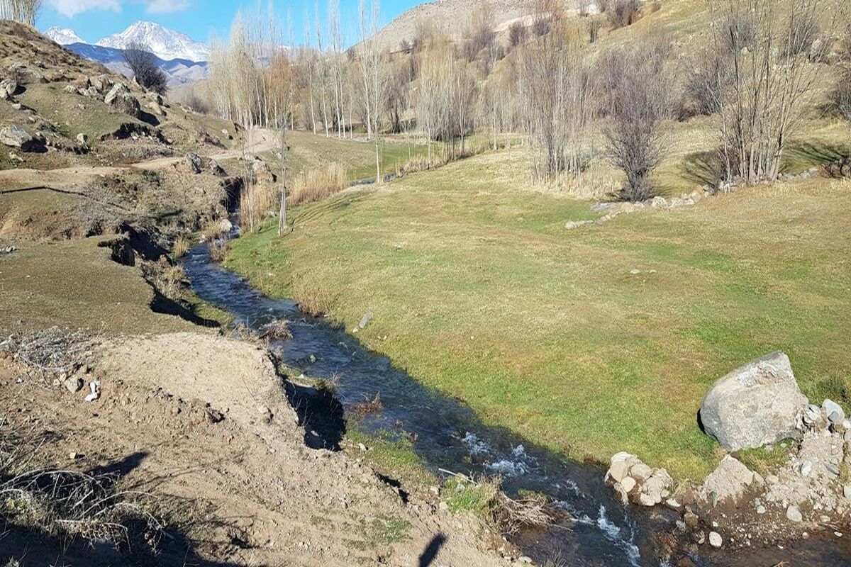 نیر