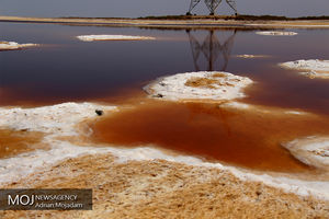 تالاب بین المللی شادگان