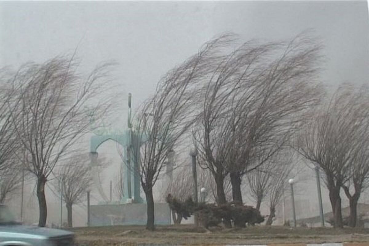 سازمان هواشناسی