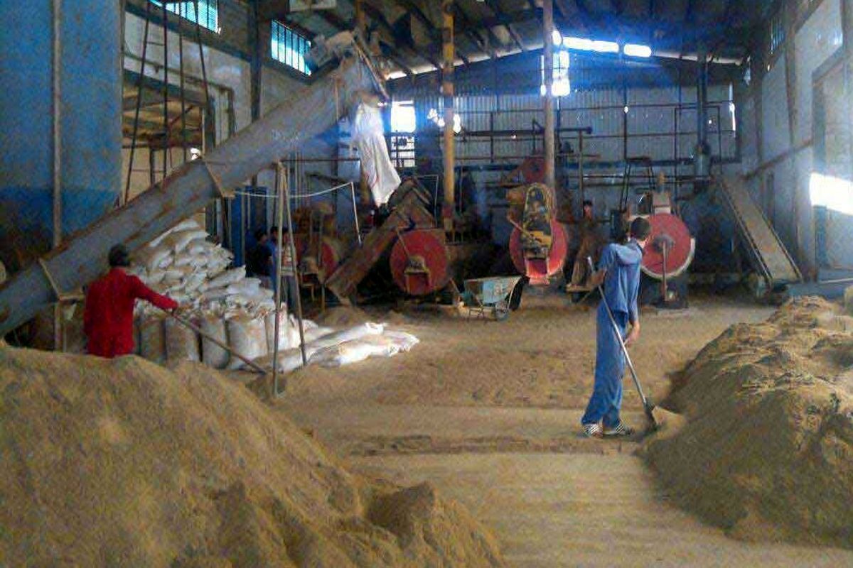 کارخانه پودر ماهی میناب