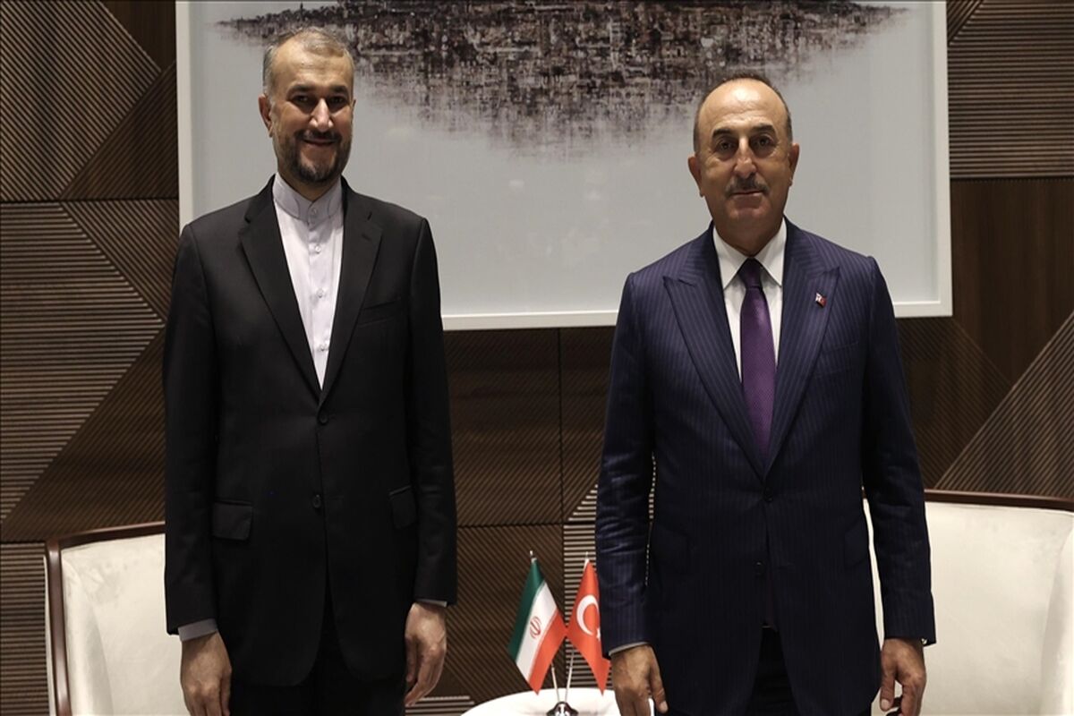 امیر عبداللهیان