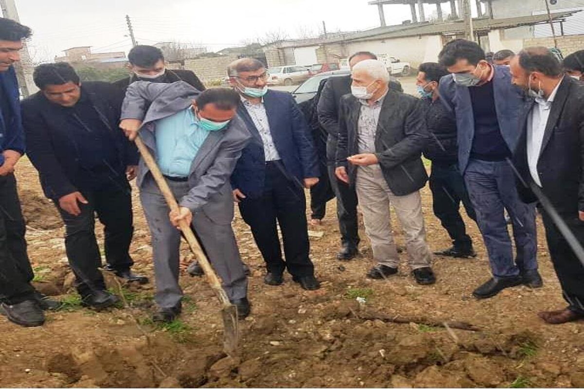 کاشت نهال در ساری
