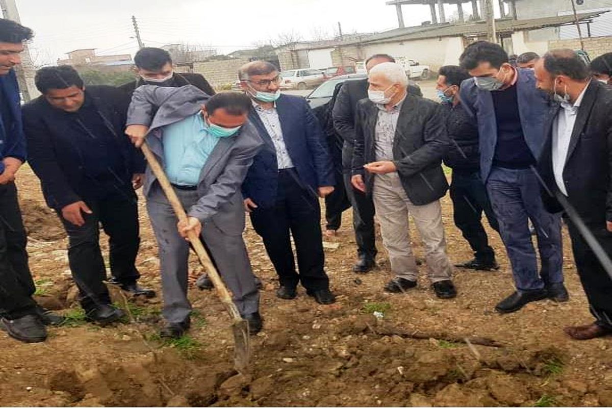 کاشت نهال در ساری