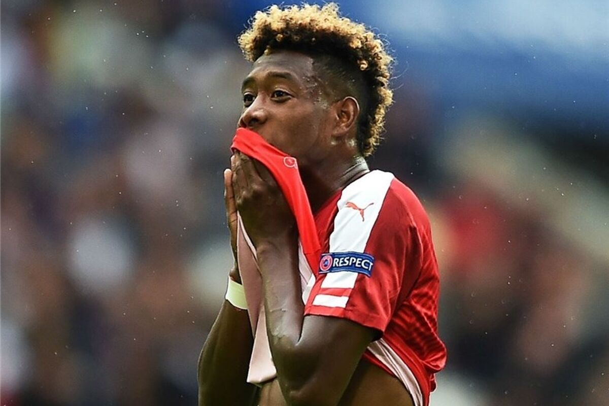 D6N17MKCmrof