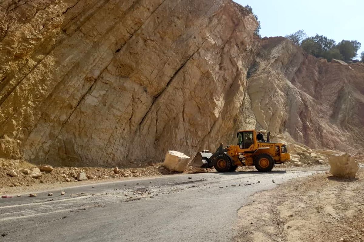 ریزش برداری