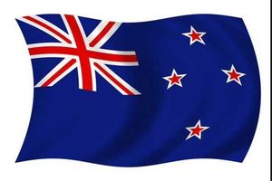 حمله وحشیانه به دو مسجد در نیوزیلند/ 49 نفر کشته و بیش از 40 نفر زخمی شدند