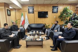 تمامی تمهیدات اسکان زائران ایلامی در تهران فراهم شد