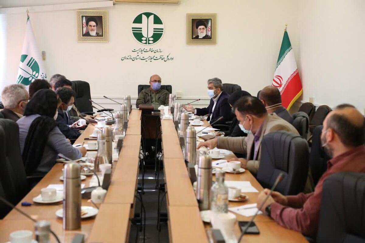 مدیرکل محیط زیست مازندران