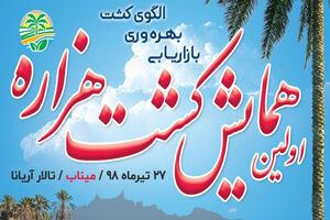 برگزاری نخستین همایش کشت هزاره در میناب