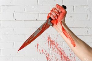 دستگیری قاتل جوان نوشهری در کمتر از ۳ ساعت