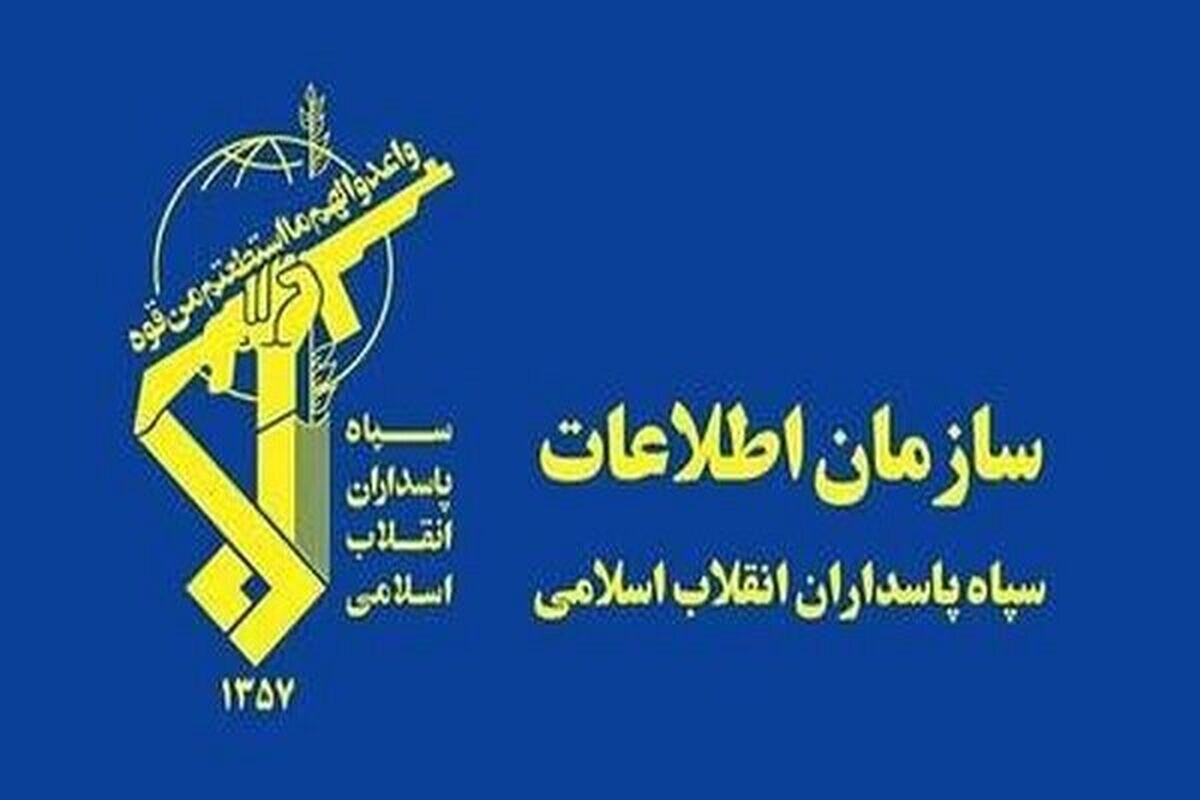 سازمان اطلاعات