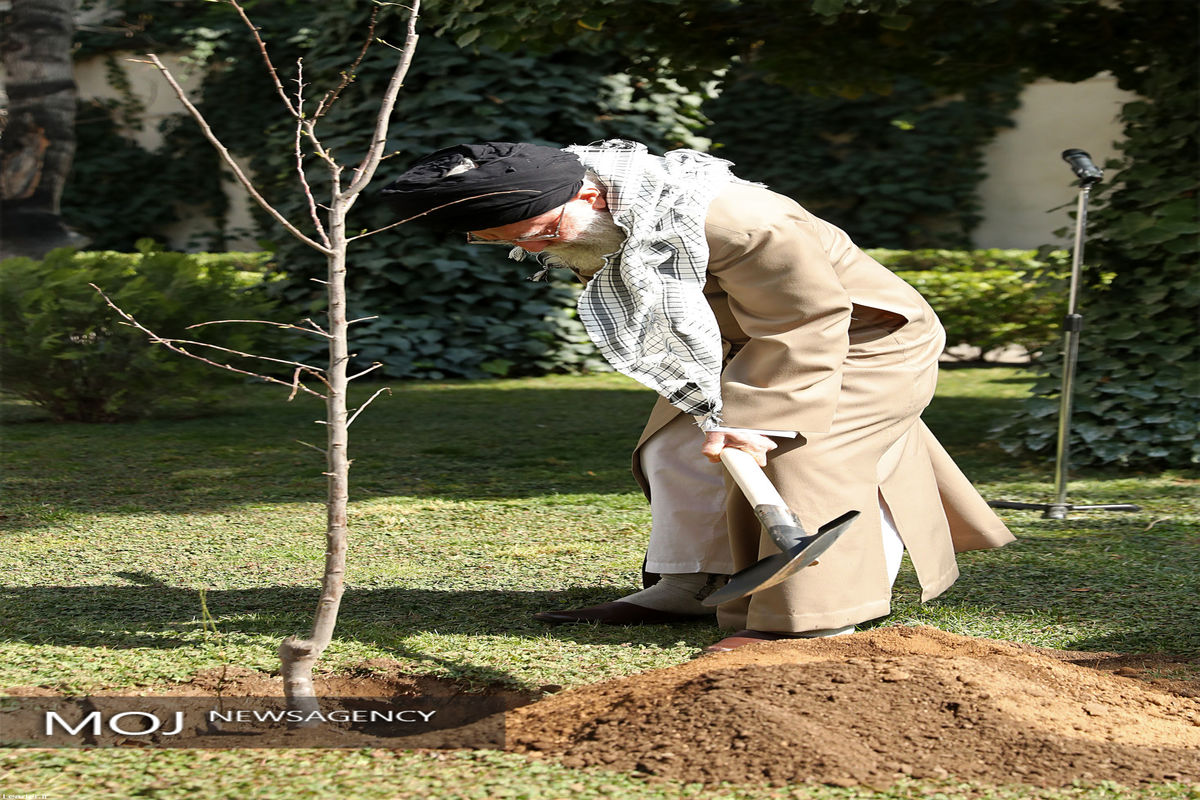 کاشت نهال توسط مقام معظم رهبری