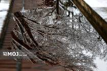 بارش برف در توچال، شگفتی خردادماه