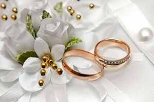  آمار ازدواج نسبت به طلاق در هشت ماهه نخست سال‌جاری بسیار نگران کننده است