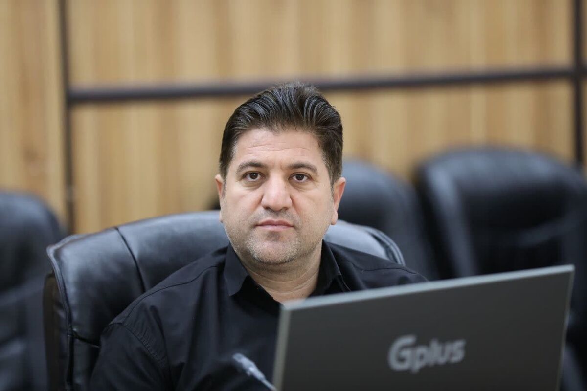 شریفی