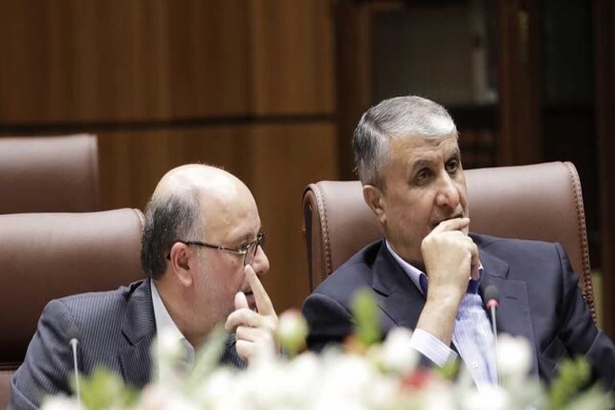 رئیس سازمان انرژی اتمی